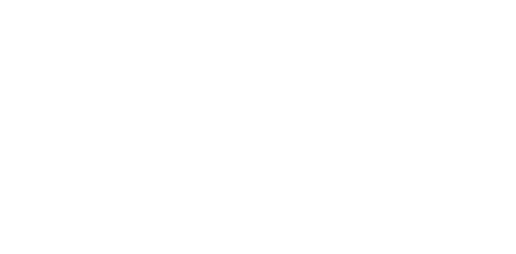 Logistycs Consult